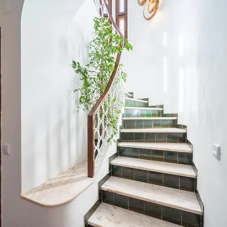 Daire Casa Elysium